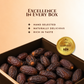 King Solomon Medjool Dates — Mini